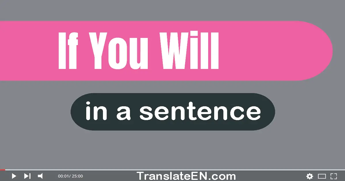 Use "if you will" in a sentence | "if you will" sentence examples