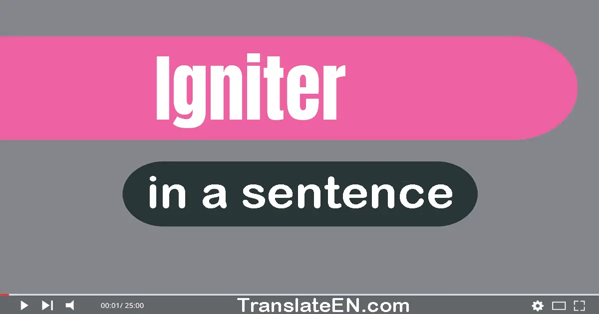 Use "igniter" in a sentence | "igniter" sentence examples