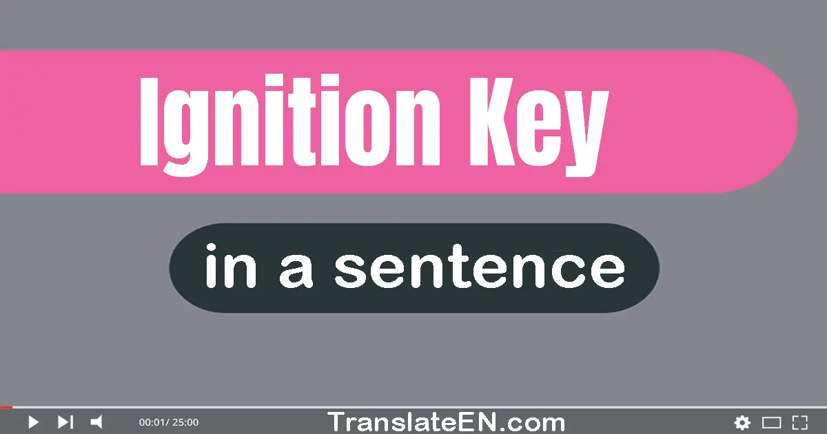 Use "ignition key" in a sentence | "ignition key" sentence examples