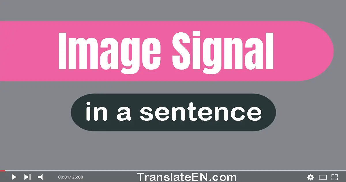 Image Signal in a sentence