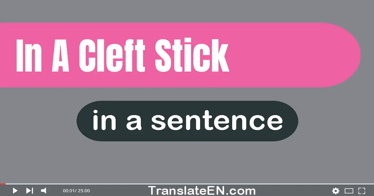 In A Cleft Stick in a sentence