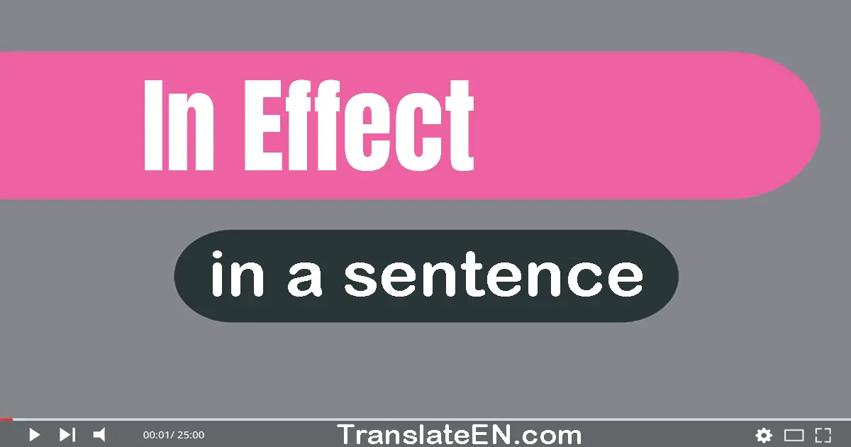 Use "in effect" in a sentence | "in effect" sentence examples