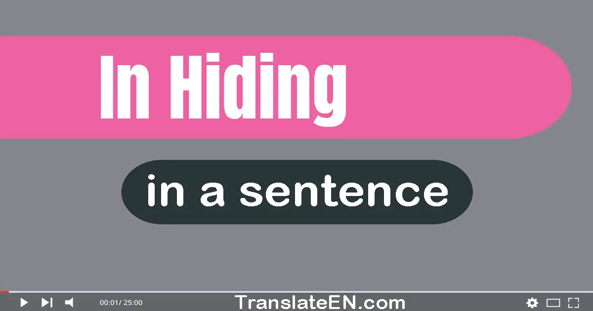 In Hiding in a sentence