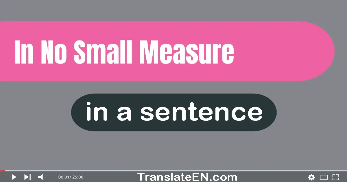 In No Small Measure in a sentence