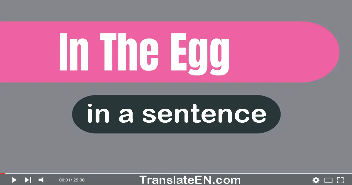 In The Egg in a sentence