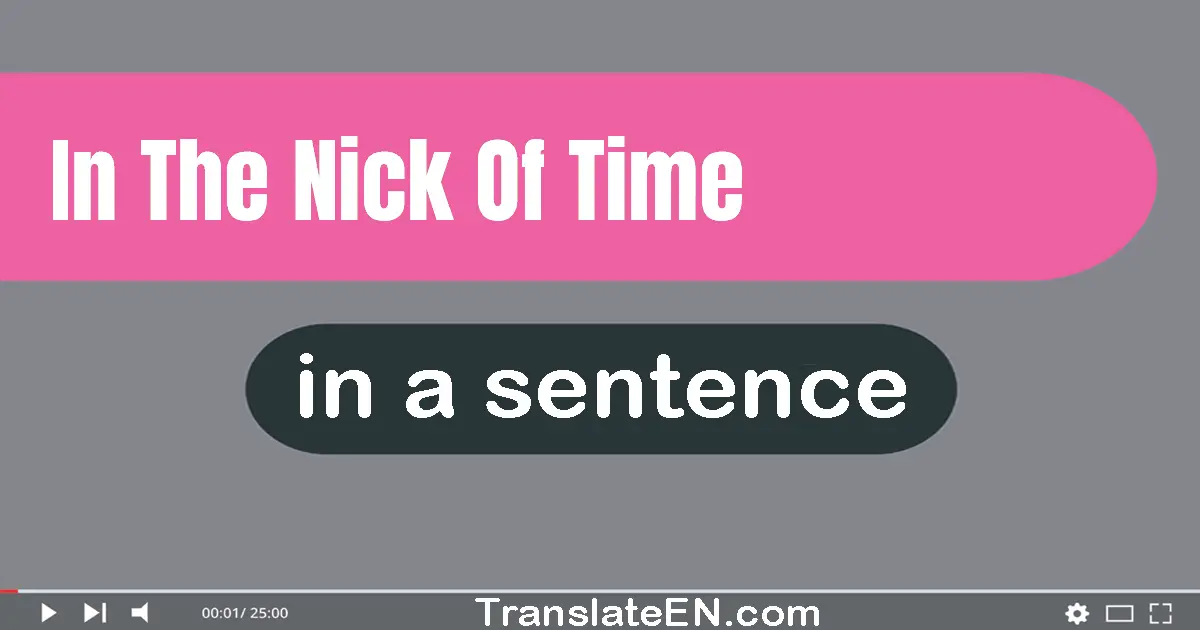 In The Nick Of Time in a sentence