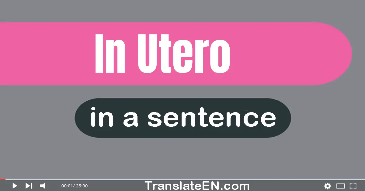 In Utero in a sentence