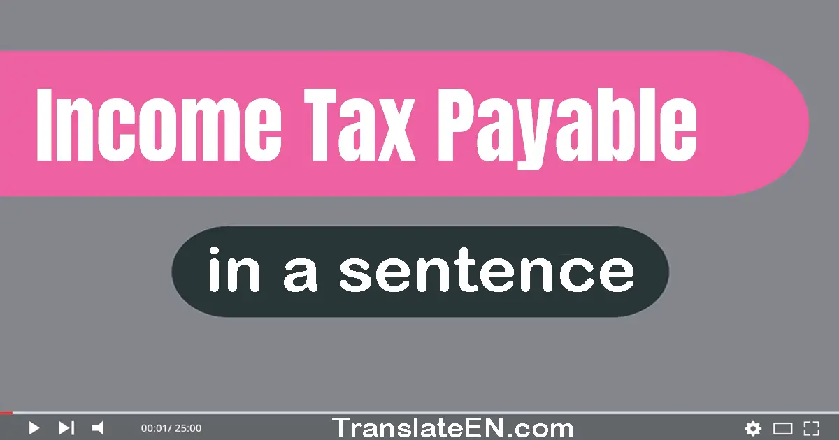 Income Tax Payable in a sentence