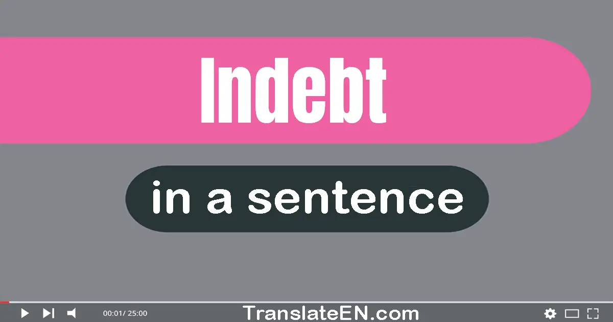 Use "indebt" in a sentence | "indebt" sentence examples