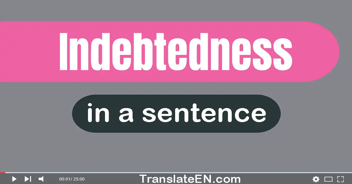Use "indebtedness" in a sentence | "indebtedness" sentence examples
