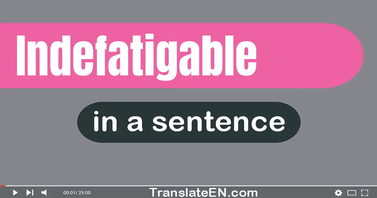 Use "indefatigable" in a sentence | "indefatigable" sentence examples