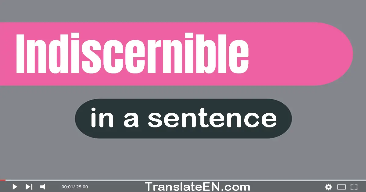 Indiscernible in a sentence