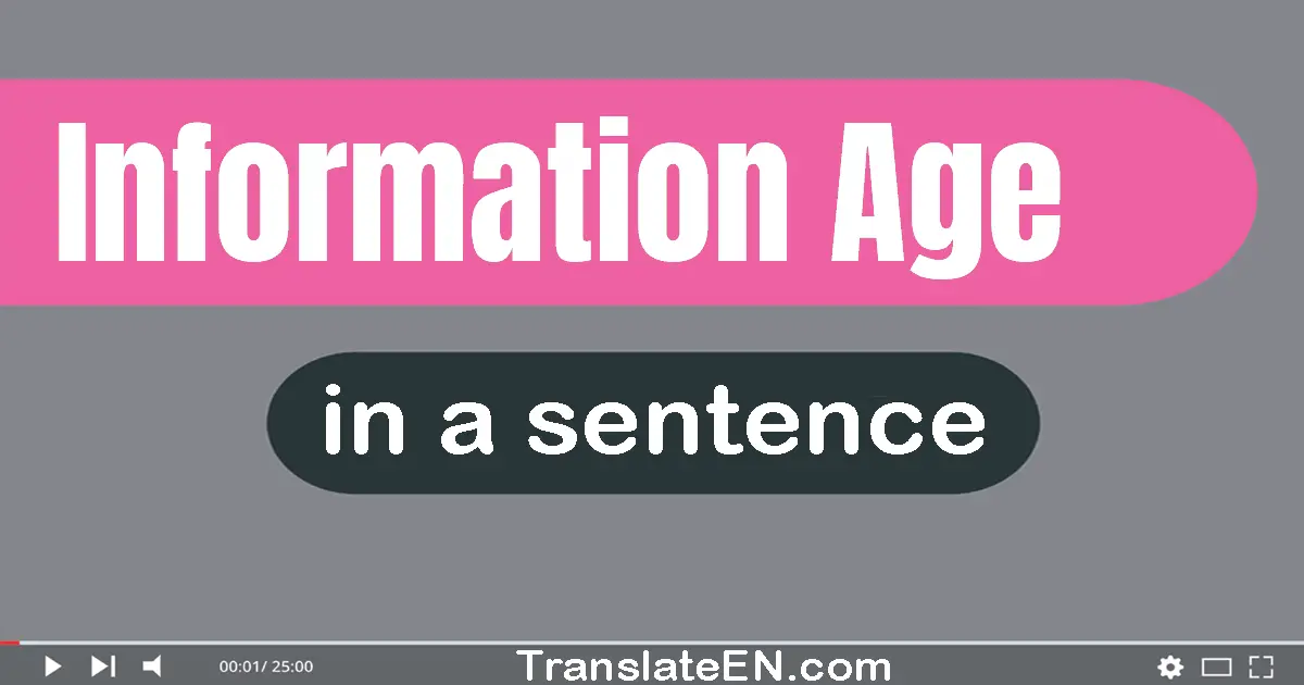 Information Age in a sentence