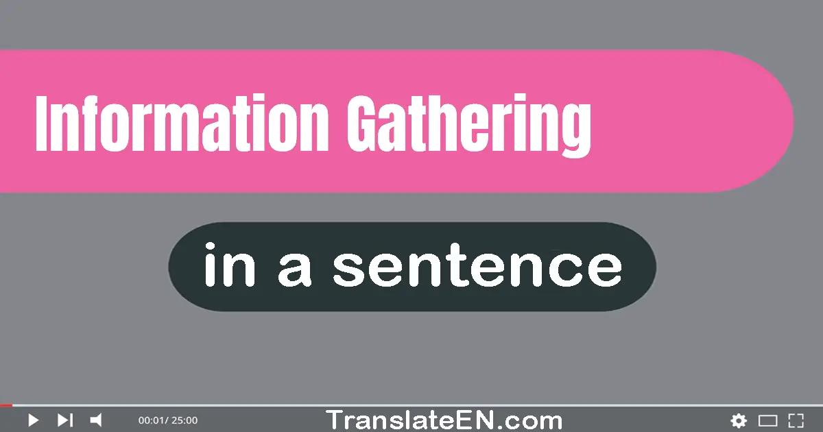 Information Gathering in a sentence