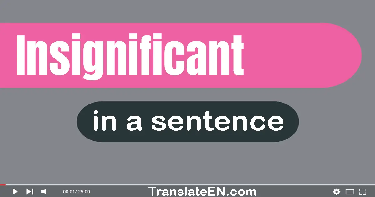 Insignificant in a sentence