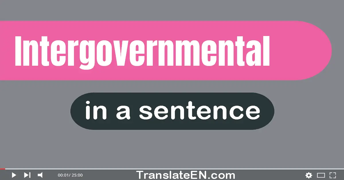Use "intergovernmental" in a sentence | "intergovernmental" sentence examples