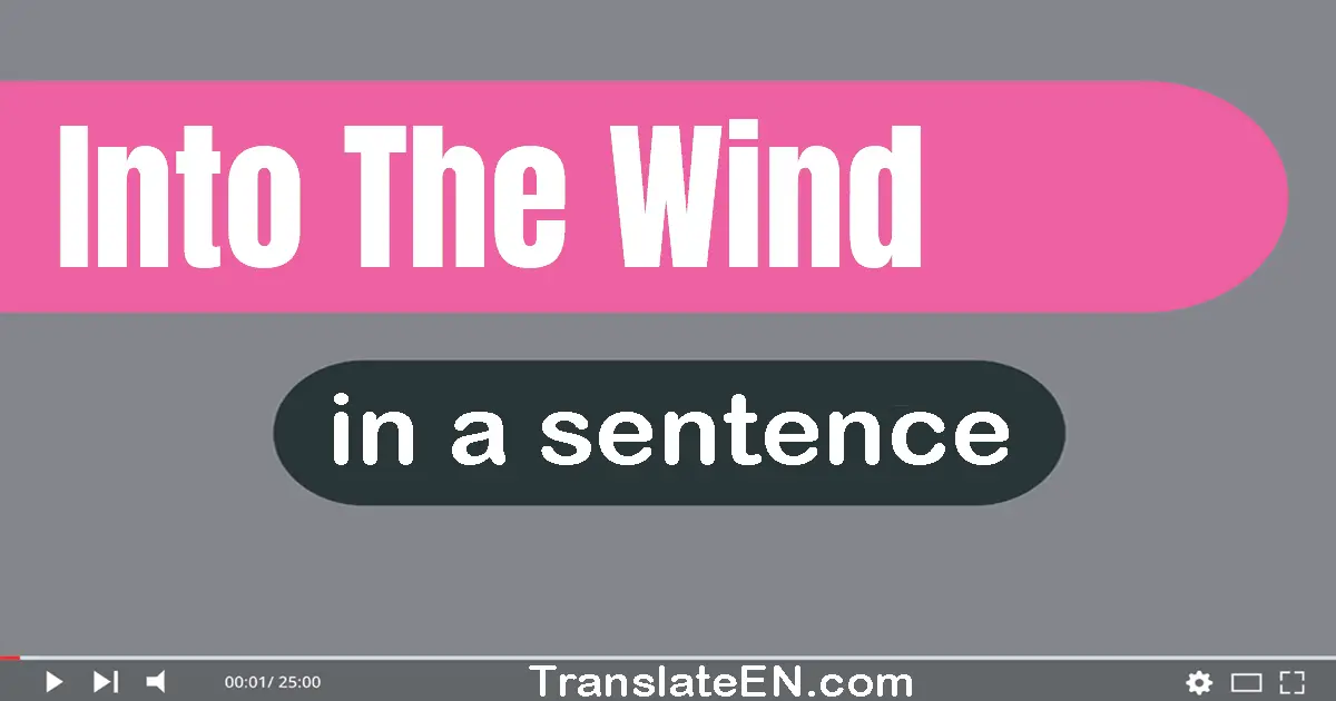 Into The Wind in a sentence