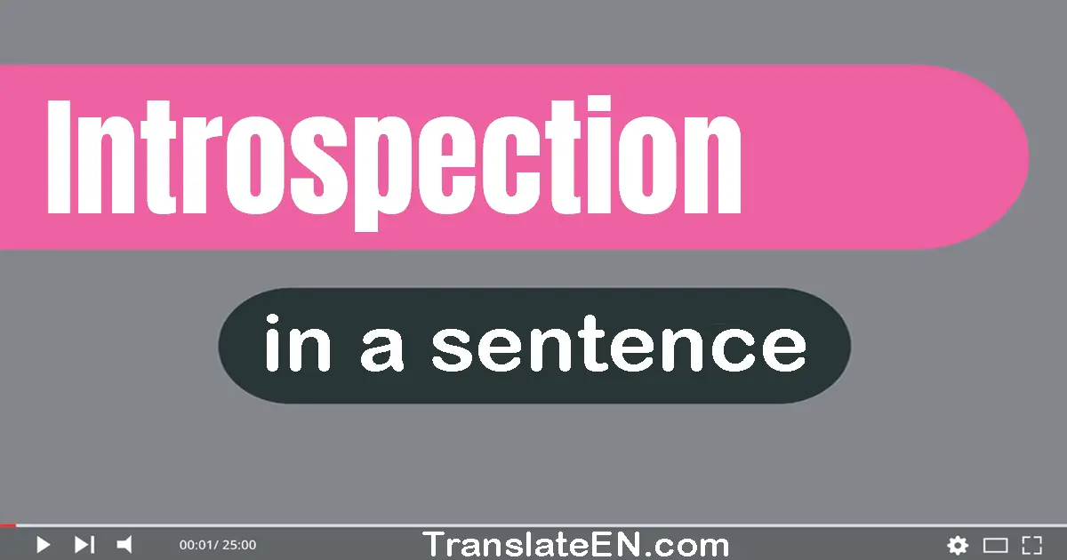 Use "introspection" in a sentence | "introspection" sentence examples