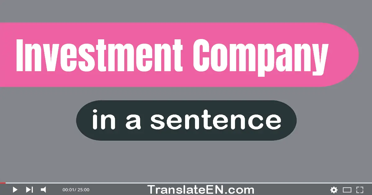 Investment Company in a sentence