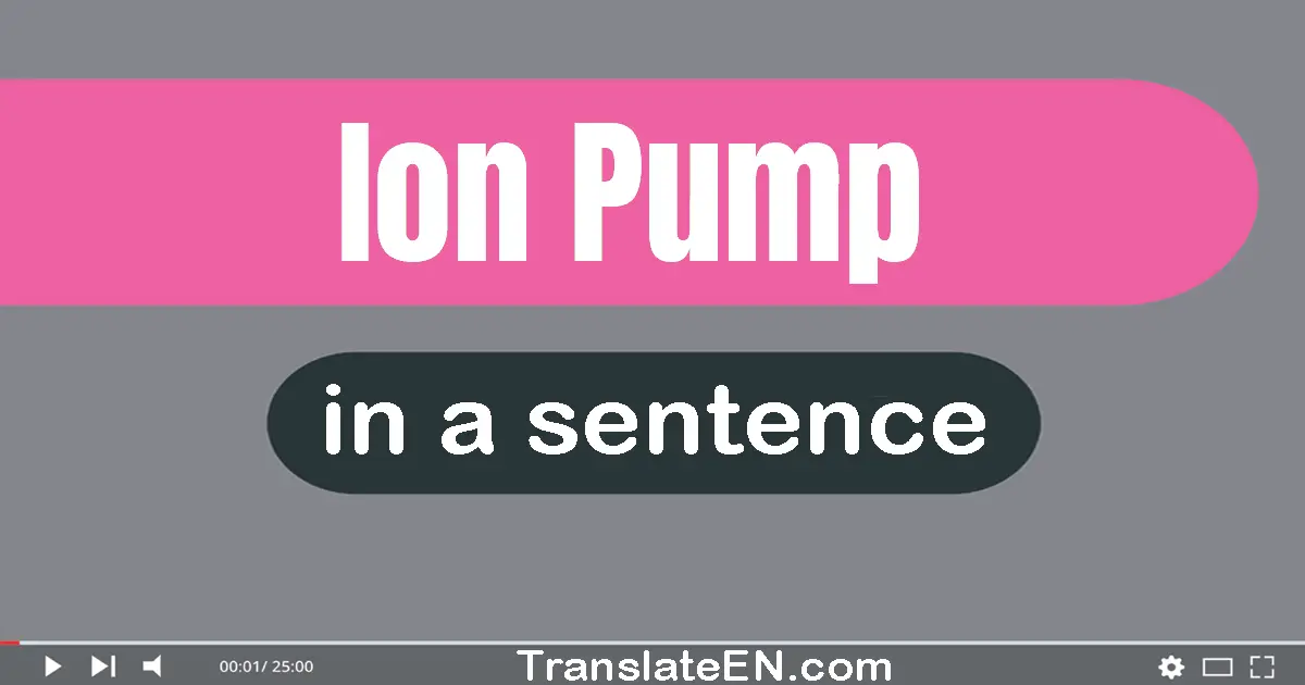 Ion Pump in a sentence