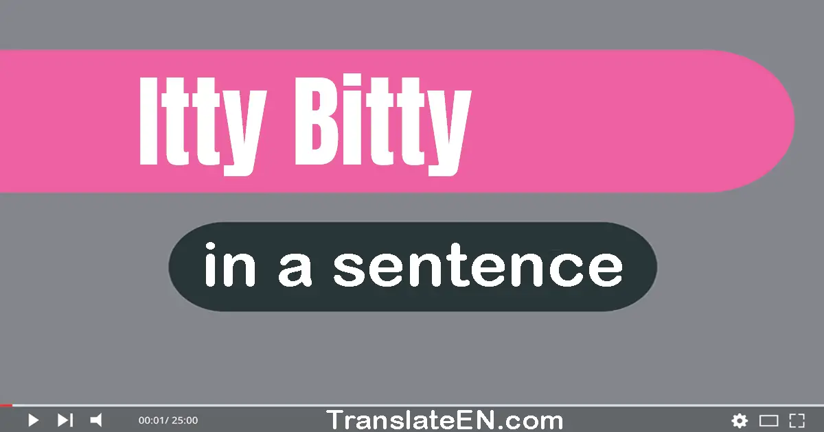 Itty-bitty in a sentence