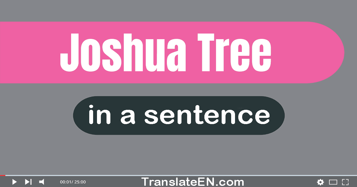 Use "joshua tree" in a sentence | "joshua tree" sentence examples