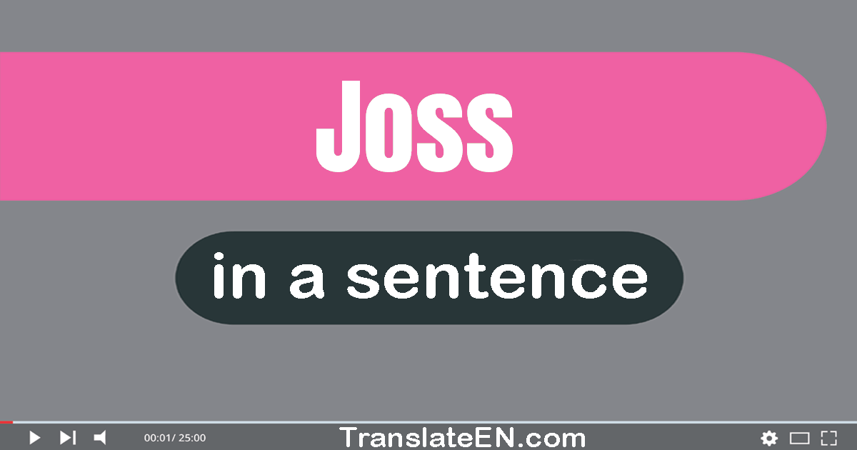 Use "joss" in a sentence | "joss" sentence examples