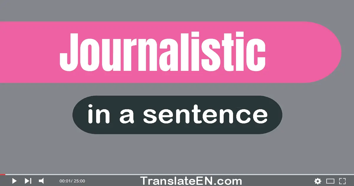 Use "journalistic" in a sentence | "journalistic" sentence examples