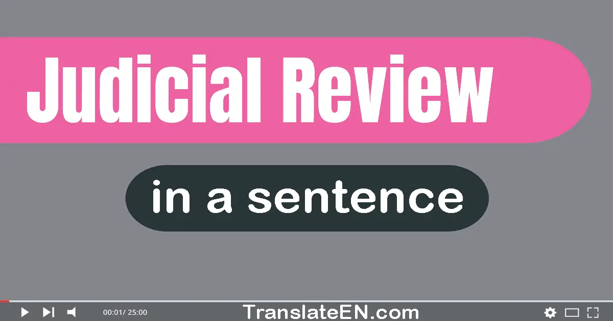 Use "judicial review" in a sentence | "judicial review" sentence examples