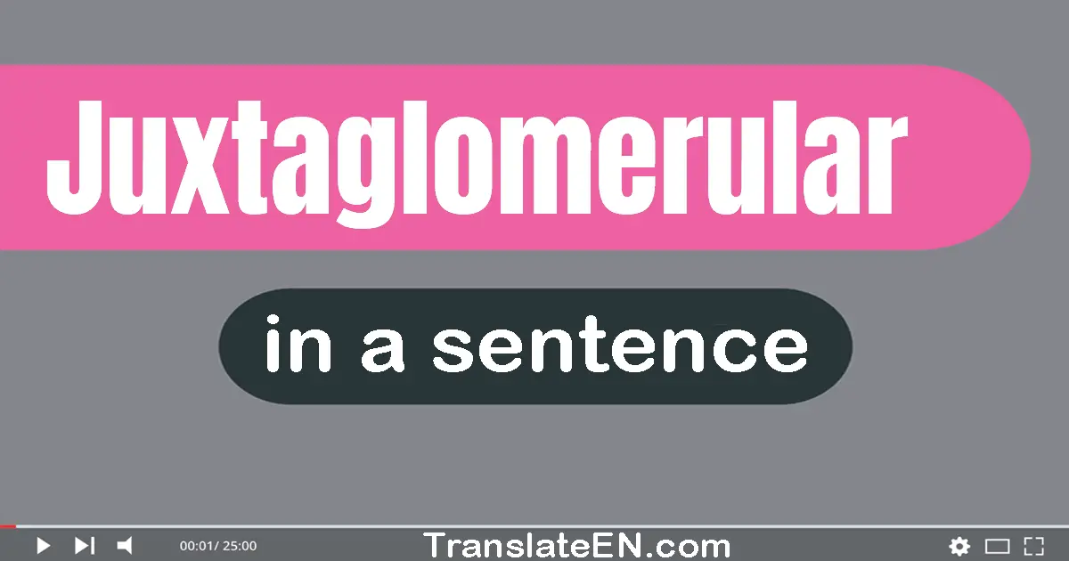 Juxtaglomerular in a sentence