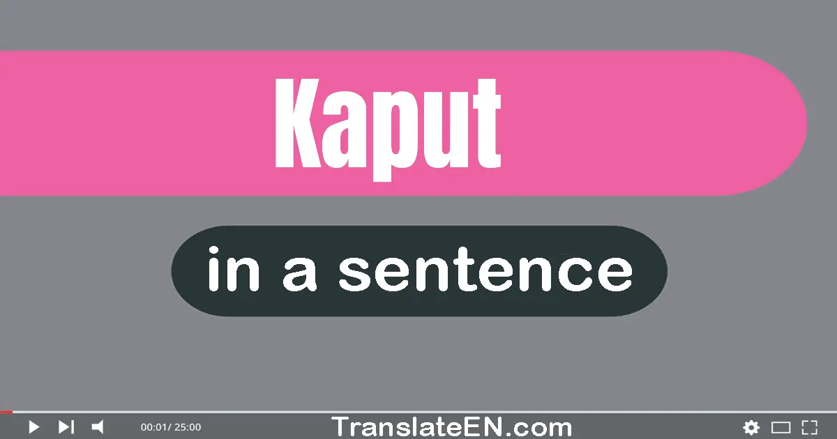 Kaput in a sentence