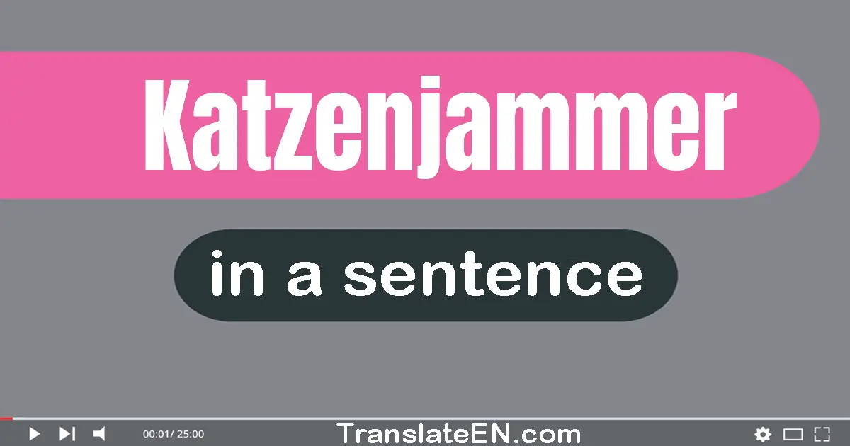 Katzenjammer in a sentence