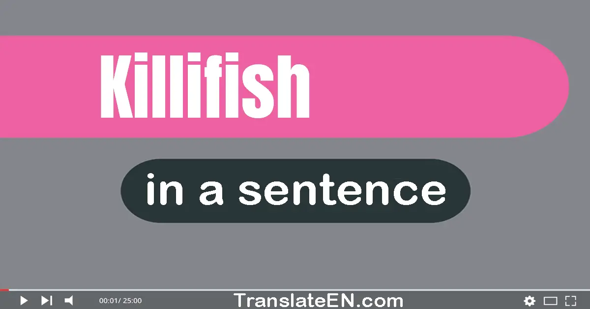 Killifish in a sentence