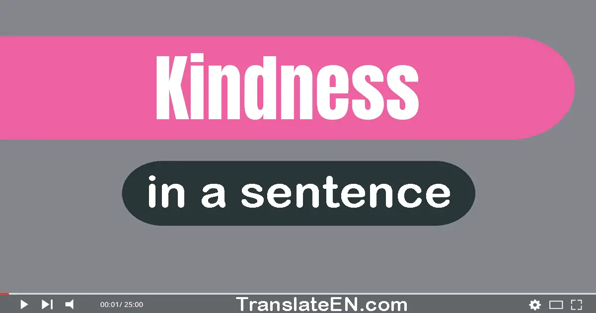 Use "kindness" in a sentence | "kindness" sentence examples