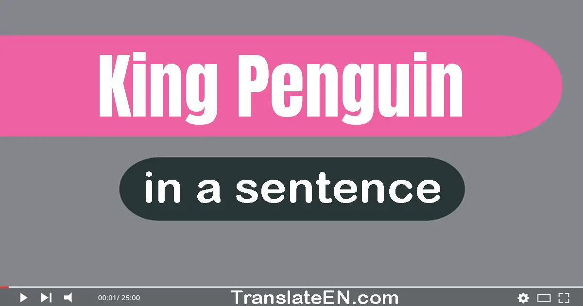 Use "king penguin" in a sentence | "king penguin" sentence examples