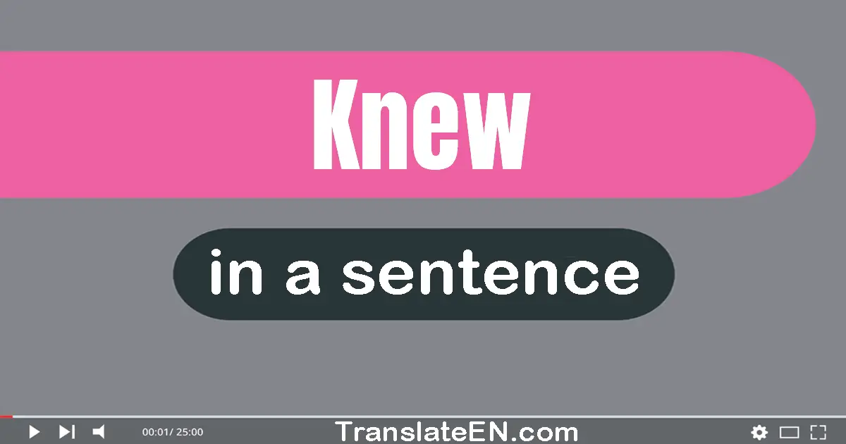 Use "knew" in a sentence | "knew" sentence examples