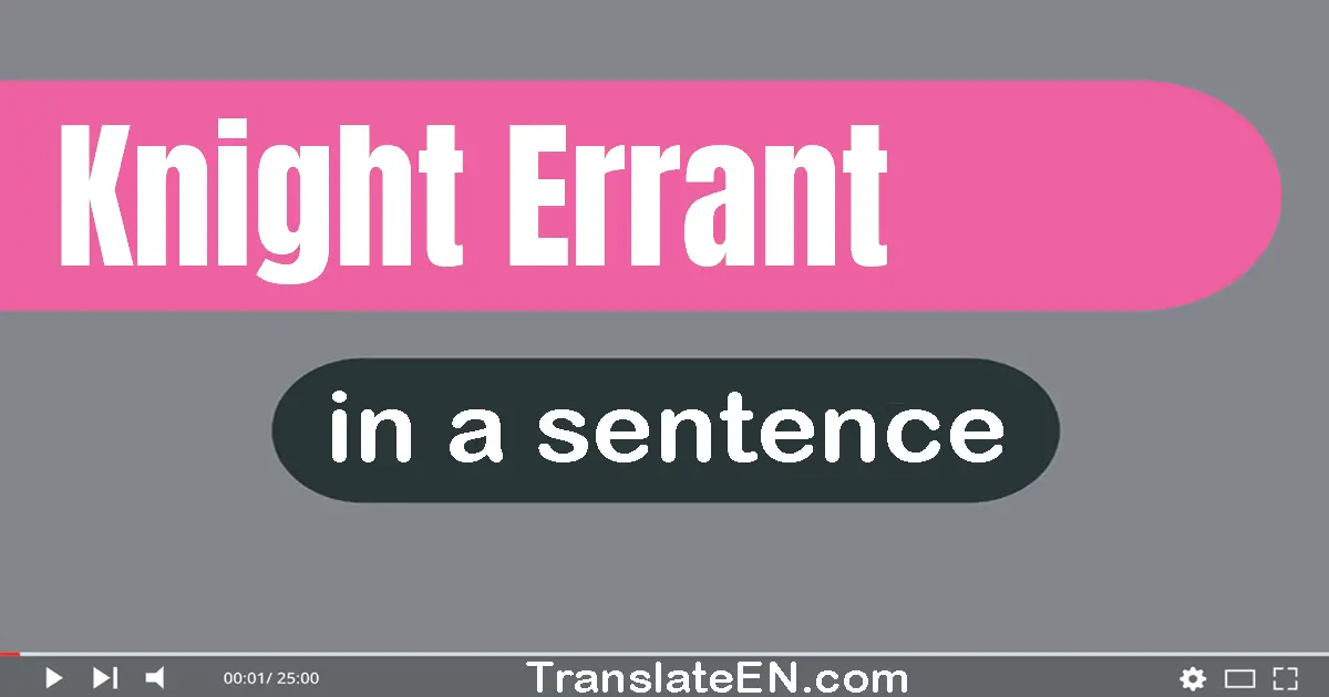 Use "knight-errant" in a sentence | "knight-errant" sentence examples