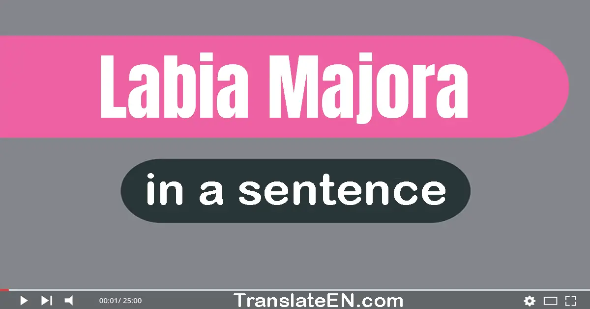 Labia Majora in a sentence