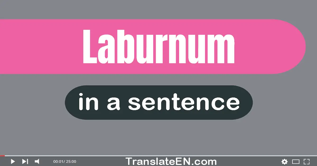 Laburnum in a sentence