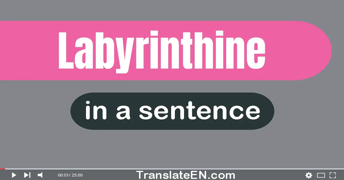 Labyrinthine in a sentence