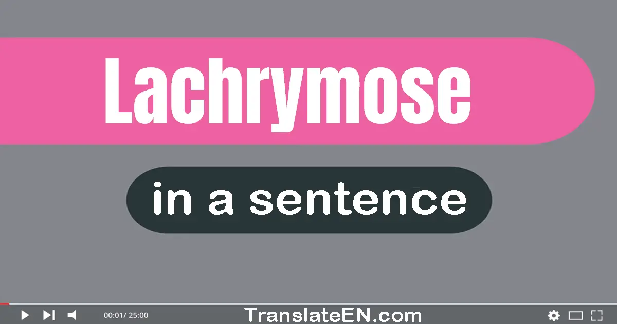 Lachrymose in a sentence