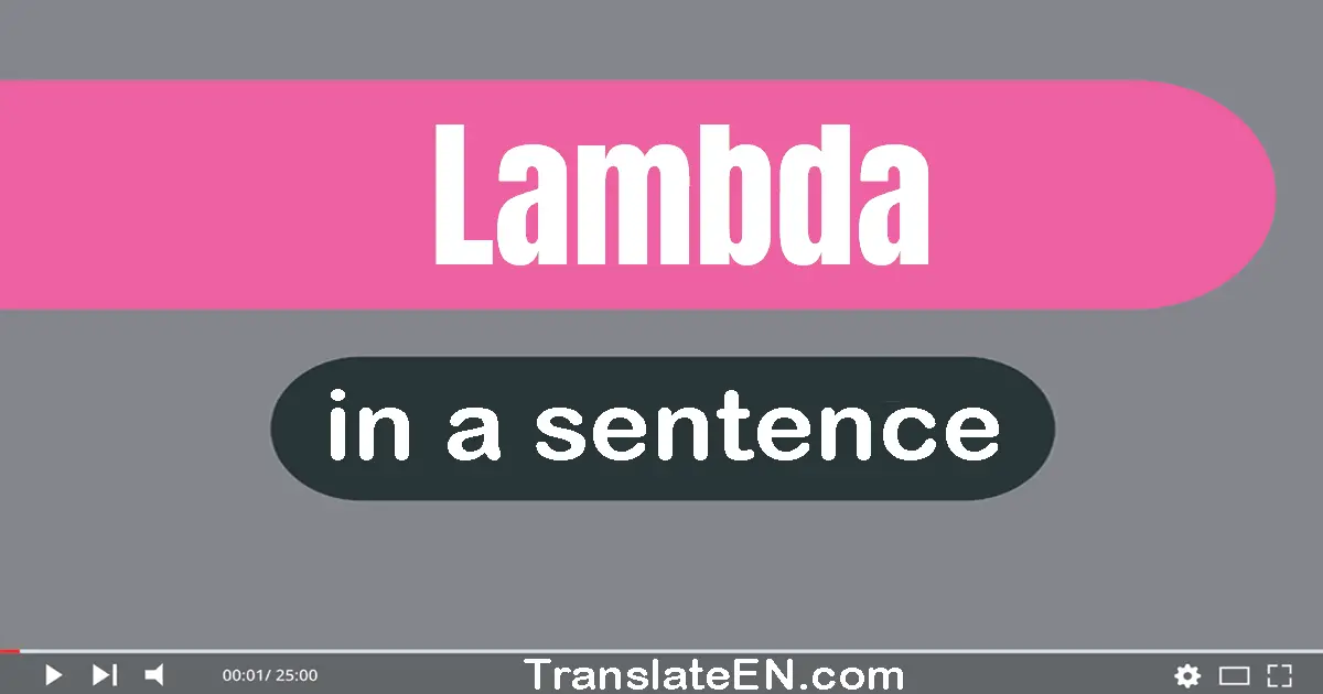 Lambda in a sentence