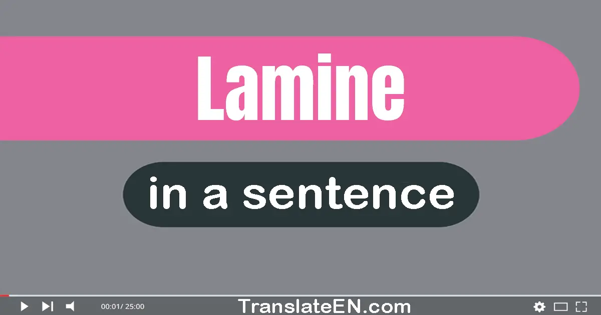 Lamine in a sentence