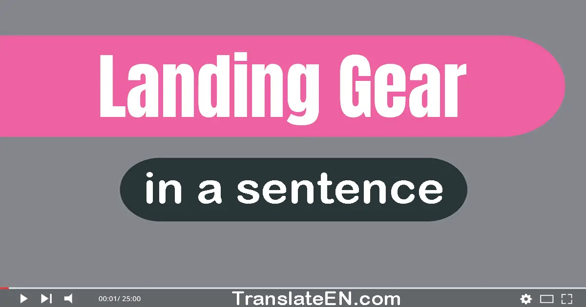 Use "landing gear" in a sentence | "landing gear" sentence examples