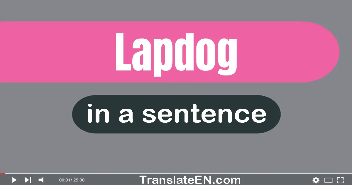 Lapdog in a sentence