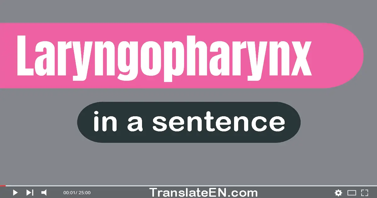 Laryngopharynx in a sentence