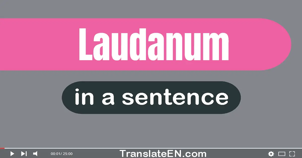 Laudanum in a sentence