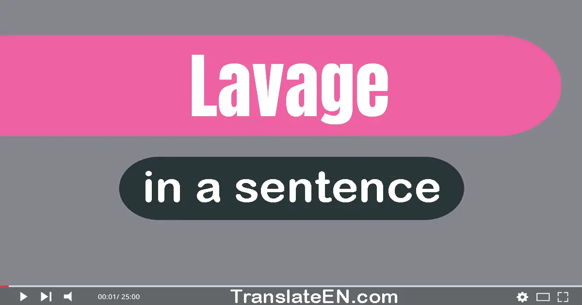 Use "lavage" in a sentence | "lavage" sentence examples