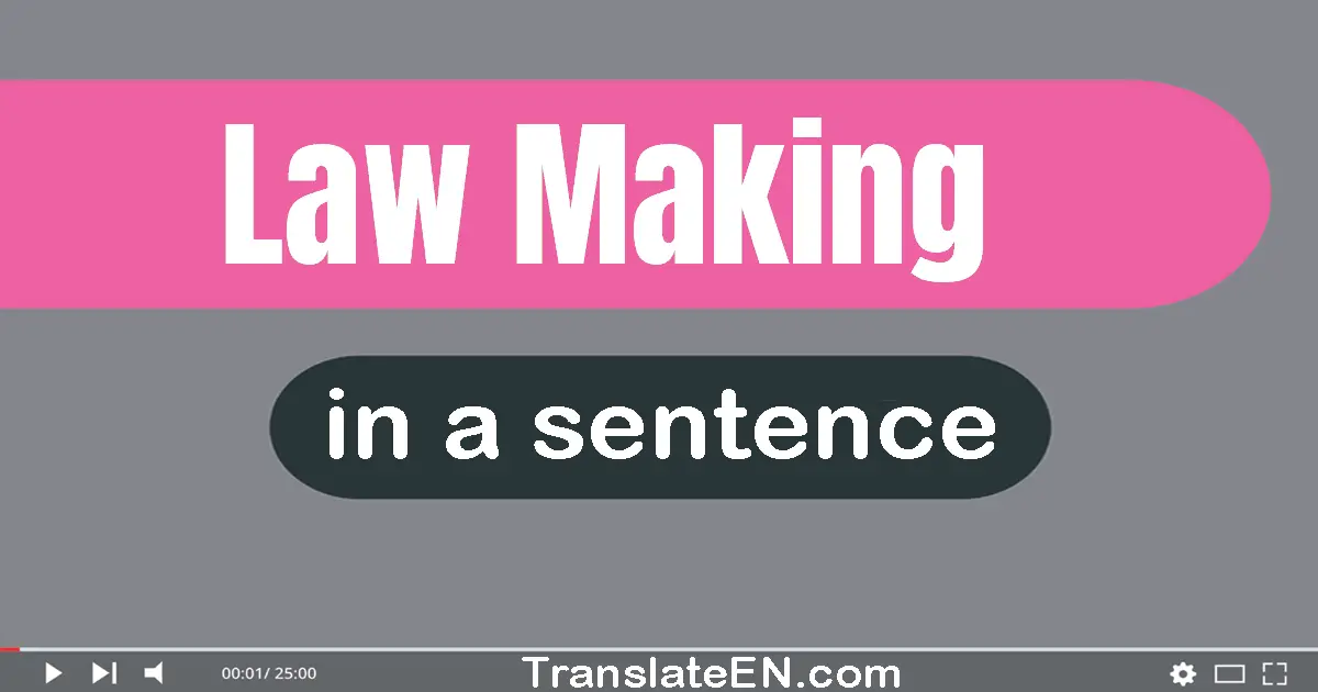 Use "law-making" in a sentence | "law-making" sentence examples
