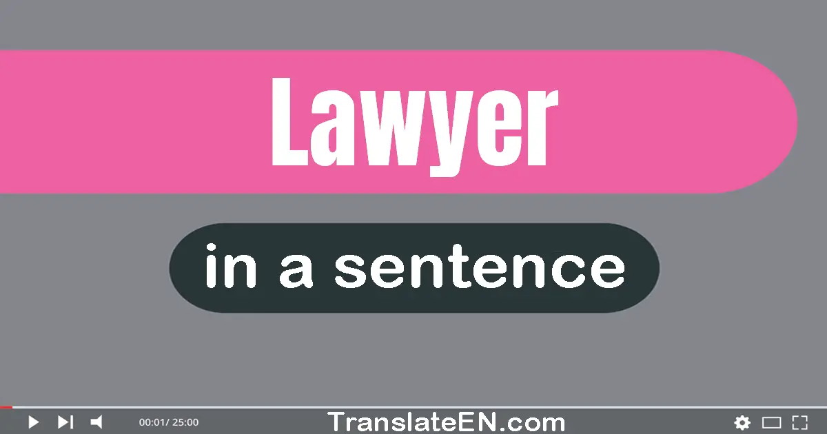 Use "lawyer" in a sentence | "lawyer" sentence examples